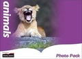 Cover: Animals Photo and Discussion - Everything Early Years