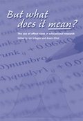 Cover: But What Does it Mean? - National Foundation for Educational Research