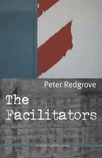 Enlarge image Cover: The Facilitators - Stride Publications