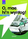 Cover: Cyfres Dysgu Difyr: O, Mae Hi'n Wyntog! - Atebol