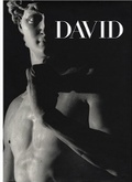Cover: Michelangelo's David - Royal Academy of Arts
