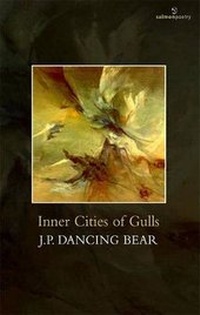 Enlarge image Cover: Inner Cities of Gulls - Salmon Poetry