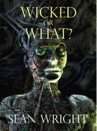 Enlarge image Cover: Wicked Or What? - Crowswing Books