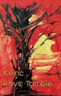 Enlarge image Cover: Keinc - Cinnamon Press