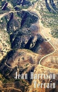 Cover: Terrain - Cinnamon Press