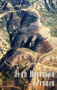 Enlarge image Cover: Terrain - Cinnamon Press