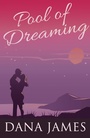 Cover: Pool of Dreaming - Accent Amour