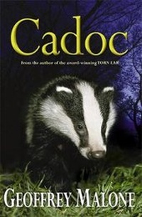 Enlarge image Cover: Cadoc - Hodder Children's Books