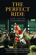Cover: The Perfect Ride - Highdown