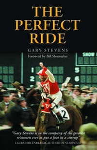 Enlarge image Cover: The Perfect Ride - Highdown