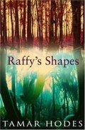 Cover: Raffy's Shapes - Accent Press Ltd