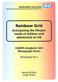 Enlarge image Cover: Rainbow Grid - CAMHS Academic Unit