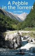 Cover: A Pebble in the Torrent - New Generation Publishing