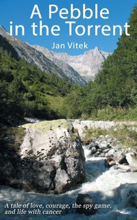 Enlarge image Cover: A Pebble in the Torrent - New Generation Publishing