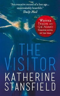 Enlarge image Cover: The Visitor - Parthian Books