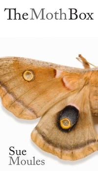 Enlarge image Cover: The Moth Box - Parthian Books