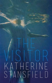 Enlarge image Cover: The Visitor - Parthian Books