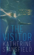 Cover: The Visitor - Parthian Books