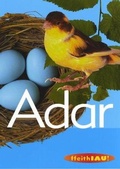 Cover: Cyfres Ffeithiau! Anifeiliaid: Adar - Atebol