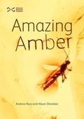 Cover: Amazing Amber - NMSE - Publishing Ltd