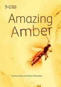 Enlarge image Cover: Amazing Amber - NMSE - Publishing Ltd