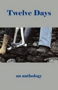 Enlarge image Cover: Twelve Days - Bridge House Publishing