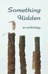 Enlarge image Cover: Something Hidden - Bridge House Publishing
