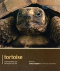 Cover: Tortoise - Pet Expert - Magnet & Steel Publishing Ltd