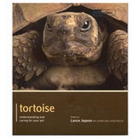 Abbildung von: Tortoise - Pet Expert - Magnet & Steel Publishing Ltd