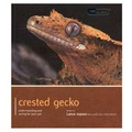 Cover: Crested Gecko - Pet Expert - Magnet & Steel Publishing Ltd