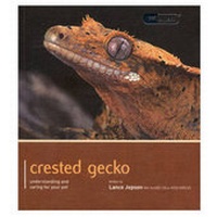 Abbildung von: Crested Gecko - Pet Expert - Magnet & Steel Publishing Ltd