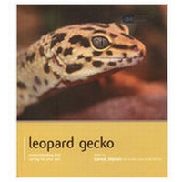 Abbildung von: Leopard Gecko - Pet Expert - Magnet & Steel Publishing Ltd