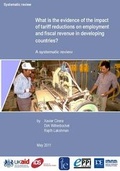 Cover: What is the Evidence of the Impact of Tariff Reductions on Employment and Fiscal Revenue in Developing Countries? - Social Science Research Unit