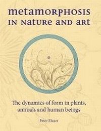 Enlarge image Cover: Metamorphosis in Nature and Art - Hawthorn Press