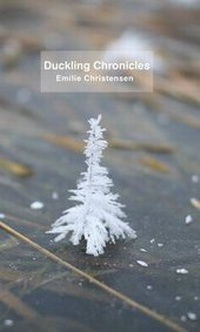 Enlarge image Cover: The Duckling Chronicles - Wingedchariot Press