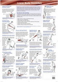 Cover: Lower Body Stretches Chart - Lotus Publishing Limited
