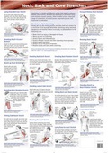 Cover: Neck, Back & Core Stretches Chart - Lotus Publishing Limited