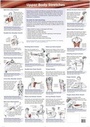 Cover: 3 Chart Set: Upper Body, Lower Body, Neck/Back/Cor e - Lotus Publishing Limited