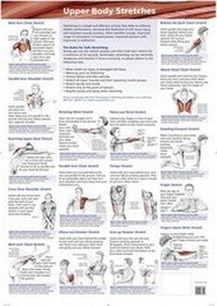Enlarge image Cover: 3 Chart Set: Upper Body, Lower Body, Neck/Back/Cor e - Lotus Publishing Limited