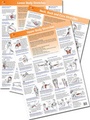 Cover: Anatomy of Stretching Posters - Neck/Back/Core - Lotus Publishing Limited
