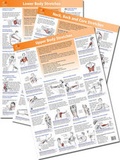 Cover: Anatomy of Stretching Posters - Neck/Back/Core - Lotus Publishing Limited