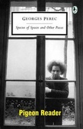 Cover: Pigeon Reader - information as material