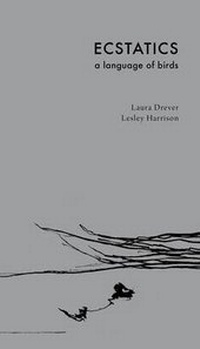 Abbildung von: Ecstatics - Brae Editions