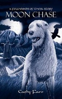 Enlarge image Cover: Moon Chase - Grosvenor House Publishing Ltd