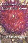 Cover: Creatures of the Intertidal Zone - Cinnamon Press