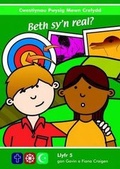 Cover: Cwestiynau Pwysig Mewn Crefydd: 5. Beth Sy'n Real? - UWIC Press