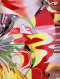 Cover: James Rosenquist - Haunch of Venison