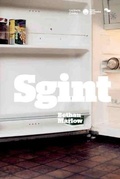 Cover: Sgint - Sherman Cymru