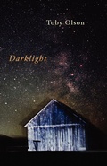 Cover: Darklight - Shearsman Books