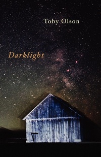 Enlarge image Cover: Darklight - Shearsman Books